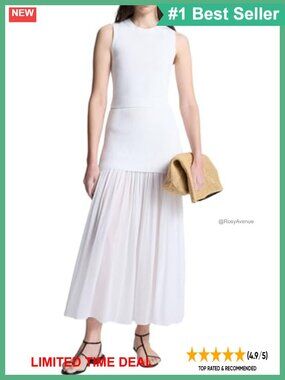 Fitted Chiffon Pleated Wear to Work Skirt